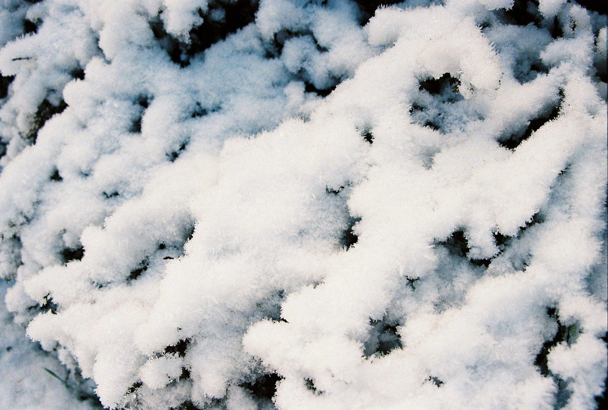 Midwinter Ventures