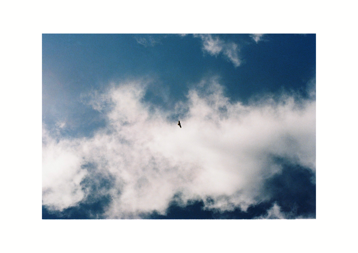 Photography Prints
