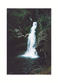 wainui falls